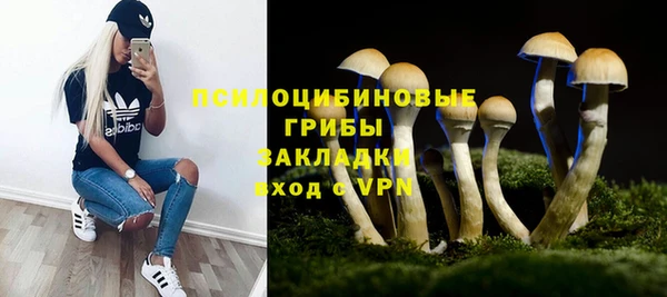 мет Корсаков