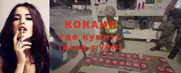 бошки Козловка